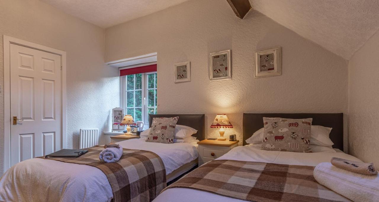 베투스 이 코이드 Glyntwrog House B&B 외부 사진