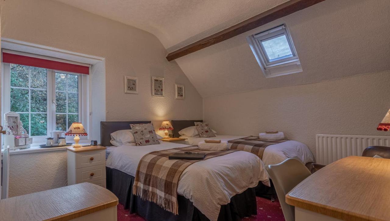 베투스 이 코이드 Glyntwrog House B&B 외부 사진