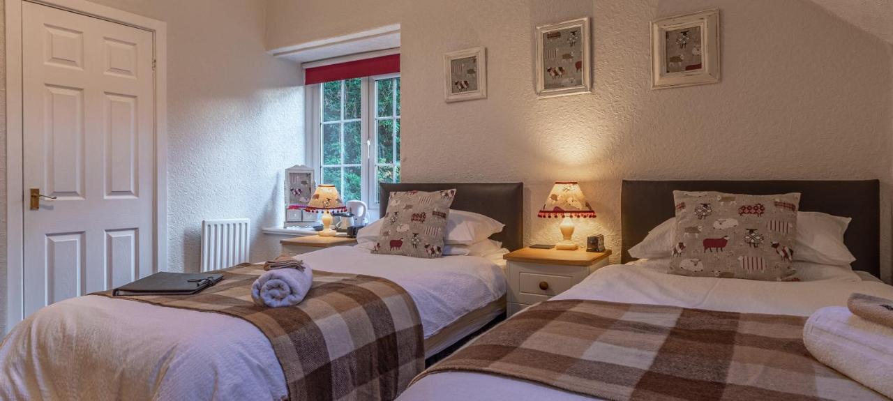 베투스 이 코이드 Glyntwrog House B&B 외부 사진